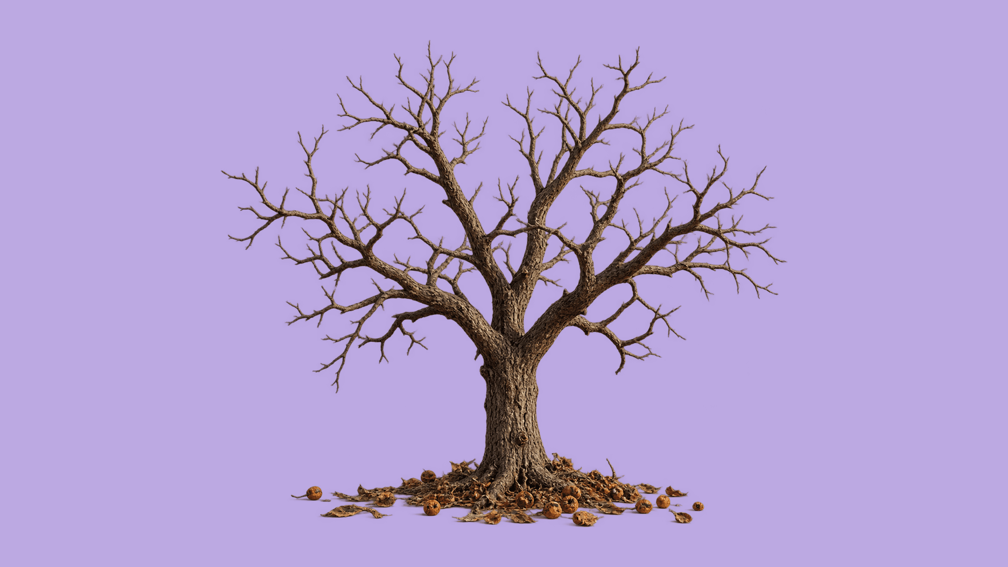 Illustration designed by The Tampa Journal